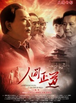 国内精品久久久久久网站