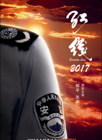 国内精品久久久久久网站